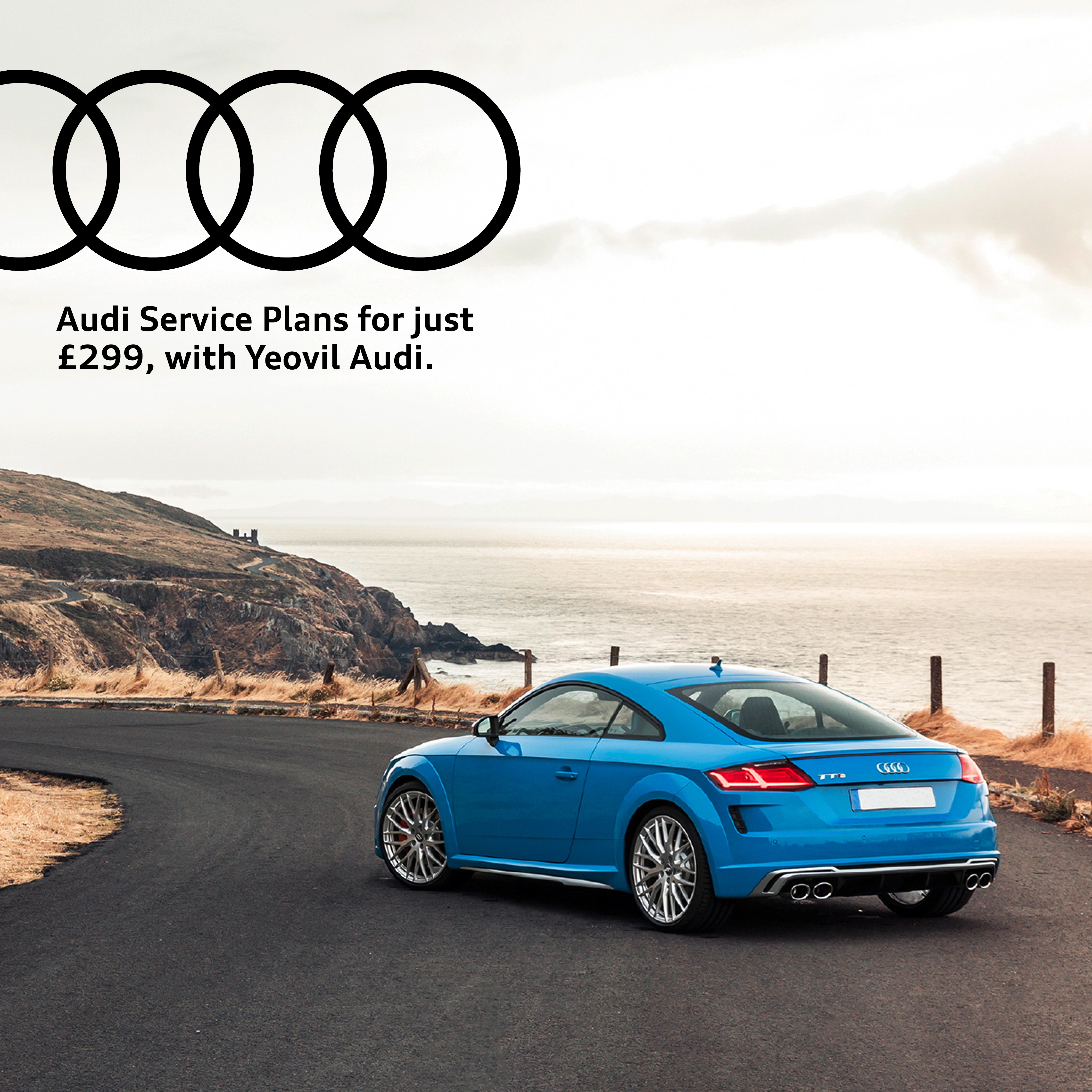 Two Services for just £299 with Yeovil Audi